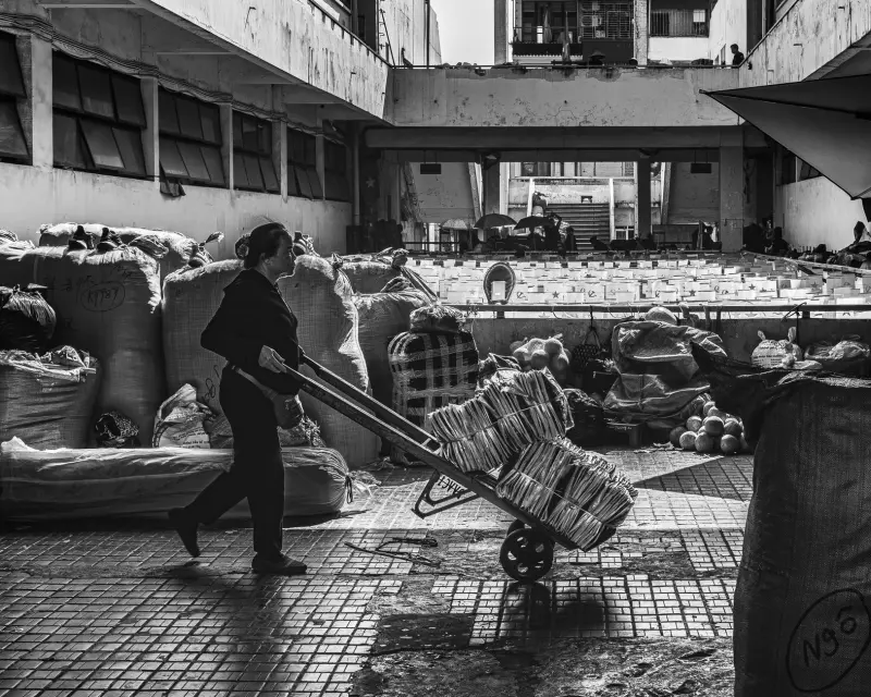 海口大型活动主视觉设计趋势：从舞台背景到邀请函的全案整合