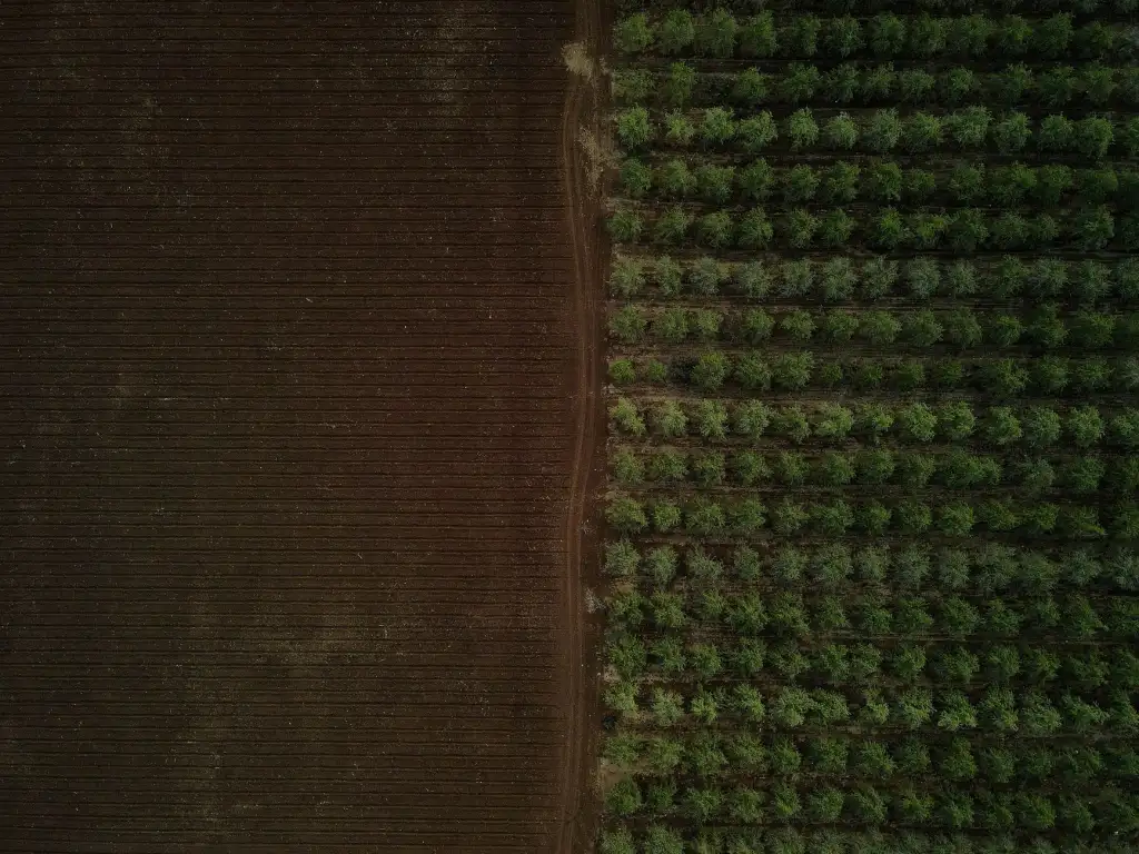 活动主视觉设计中的色彩搭配法则与舞台背景应用解析