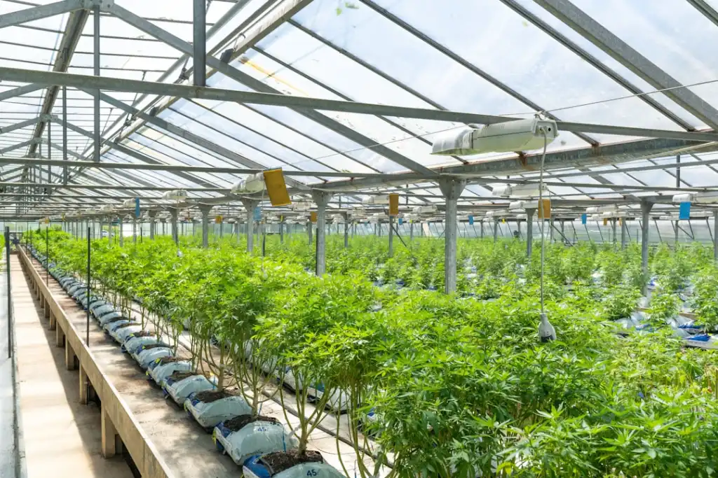 海南活动主视觉设计在高端会议场景中的技术应用与实践